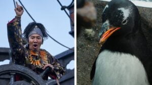 'Pirates 2' 'Scene Stealers' who survived CG... Lee Kwang-soo and 'Awesome Chemie' From penguins to jellyfish